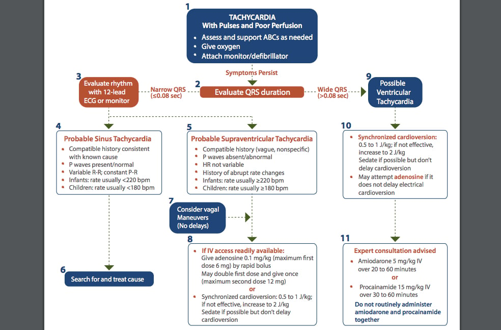 The Basics of the Pediatric Tachycardia for Pediatric